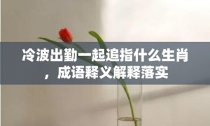 冷波出勤一起追指什么生肖，成语释义解释落实