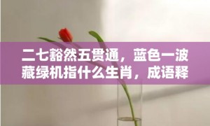 二七豁然五贯通，蓝色一波藏绿机指什么生肖，成语释义解释落实