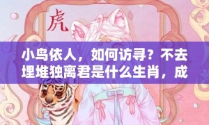 小鸟依人，如何访寻？不去埋堆独离君是什么生肖，成语解释落实释义