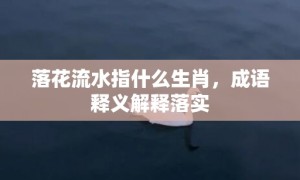 落花流水指什么生肖，成语释义解释落实