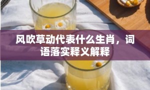 风吹草动代表什么生肖，词语落实释义解释