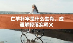 亡羊补牢是什么生肖，成语解释落实释义