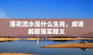 落花流水是什么生肖，成语解释落实释义