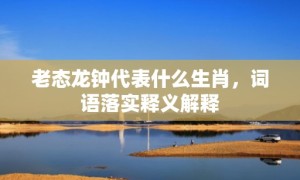 老态龙钟代表什么生肖，词语落实释义解释