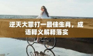 逆天大罪打一最佳生肖，成语释义解释落实