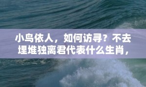 小鸟依人，如何访寻？不去埋堆独离君代表什么生肖，词语落实释义解释