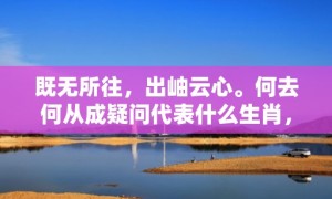 既无所往，出岫云心。何去何从成疑问代表什么生肖，词语落实释义解释