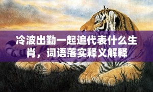 冷波出勤一起追代表什么生肖，词语落实释义解释