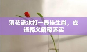 落花流水打一最佳生肖，成语释义解释落实