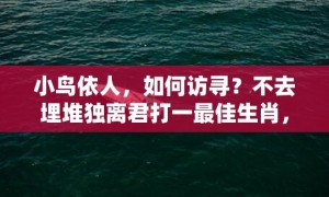 小鸟依人，如何访寻？不去埋堆独离君打一最佳生肖，成语释义解释落实