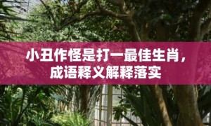 小丑作怪是打一最佳生肖，成语释义解释落实