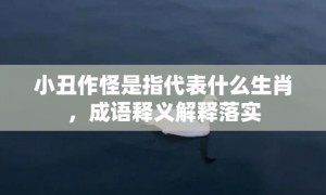 小丑作怪是指代表什么生肖，成语释义解释落实