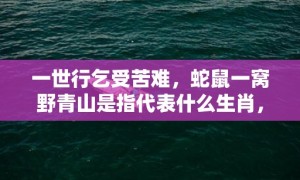 一世行乞受苦难，蛇鼠一窝野青山是指代表什么生肖，成语释义解释落实