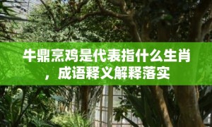 牛鼎烹鸡是代表指什么生肖，成语释义解释落实