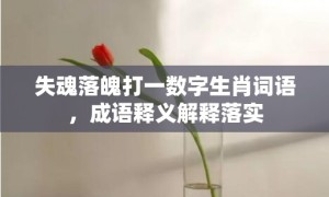 失魂落魄打一数字生肖词语，成语释义解释落实