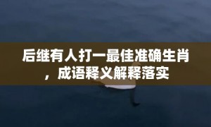 后继有人打一最佳准确生肖，成语释义解释落实