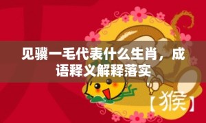 见骥一毛代表什么生肖，成语释义解释落实