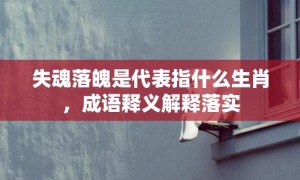 失魂落魄是代表指什么生肖，成语释义解释落实