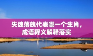 失魂落魄代表哪一个生肖，成语释义解释落实