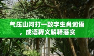 气压山河打一数字生肖词语，成语释义解释落实