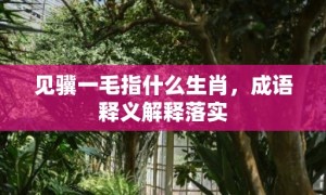 见骥一毛指什么生肖，成语释义解释落实