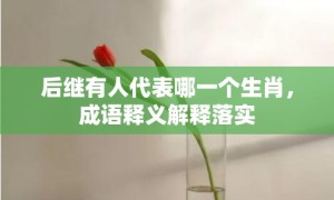 后继有人代表哪一个生肖，成语释义解释落实