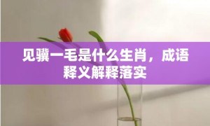 见骥一毛是什么生肖，成语释义解释落实