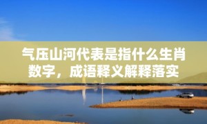 气压山河代表是指什么生肖数字，成语释义解释落实