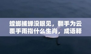 螳螂捕蝉没眼见，翻手为云覆手雨指什么生肖，成语释义解释落实