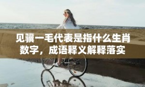 见骥一毛代表是指什么生肖数字，成语释义解释落实