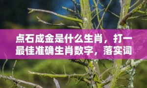 点石成金是什么生肖，打一最佳准确生肖数字，落实词语释义