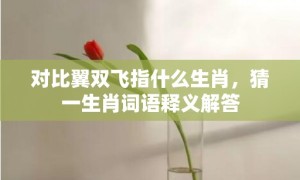 对比翼双飞指什么生肖，猜一生肖词语释义解答