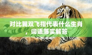 对比翼双飞指代表什么生肖，词语落实解答