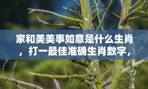 家和美美事如意是什么生肖，打一最佳准确生肖数字，落实词语释义