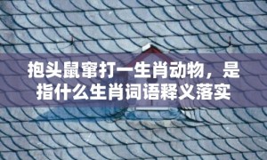 抱头鼠窜打一生肖动物，是指什么生肖词语释义落实