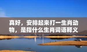 真好，安排起来打一生肖动物，是指什么生肖词语释义落实