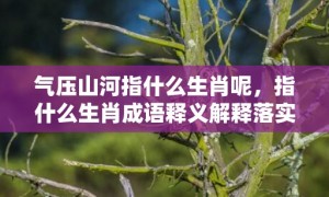 气压山河指什么生肖呢，指什么生肖成语释义解释落实