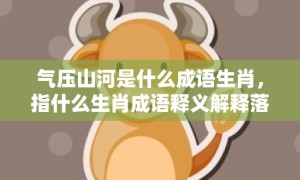 气压山河是什么成语生肖，指什么生肖成语释义解释落实