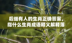 后继有人的生肖正确答案，指什么生肖成语释义解释落实