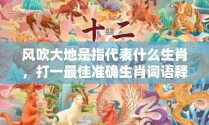 风吹大地是指代表什么生肖，打一最佳准确生肖词语释义落实