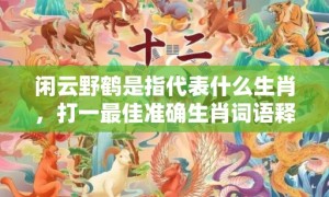 闲云野鹤是指代表什么生肖，打一最佳准确生肖词语释义落实