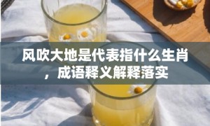 风吹大地是代表指什么生肖，成语释义解释落实