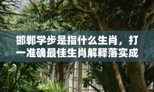 邯郸学步是指什么生肖，打一准确最佳生肖解释落实成语