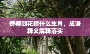 傍柳随花指什么生肖，成语释义解释落实