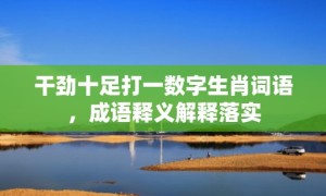 干劲十足打一数字生肖词语，成语释义解释落实