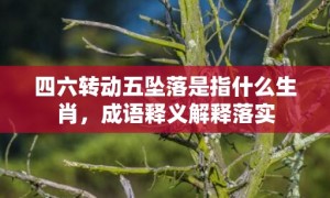 四六转动五坠落是指什么生肖，成语释义解释落实