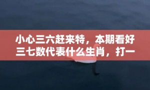 小心三六赶来特，本期看好三七数代表什么生肖，打一最佳准确生肖词语释义落实解释