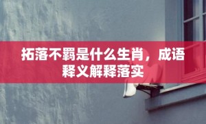 拓落不羁是什么生肖，成语释义解释落实