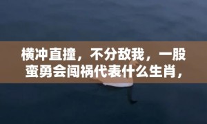 横冲直撞，不分敌我，一股蛮勇会闯祸代表什么生肖，打一最佳准确生肖词语释义落实解释