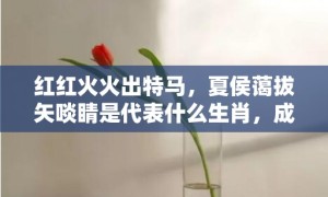 红红火火出特马，夏侯蔼拔矢啖睛是代表什么生肖，成语释义解释落实